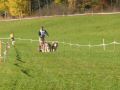 DSCN28121.jpg